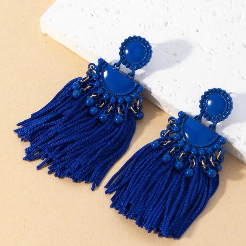 Metal tassel drop earrings